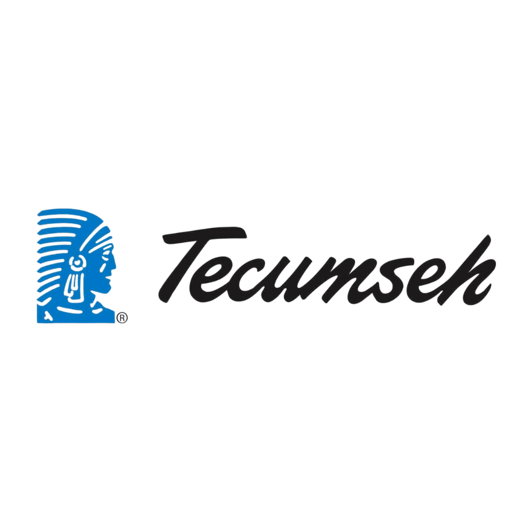 LEO LUBRIFICANTE TECUMSEH